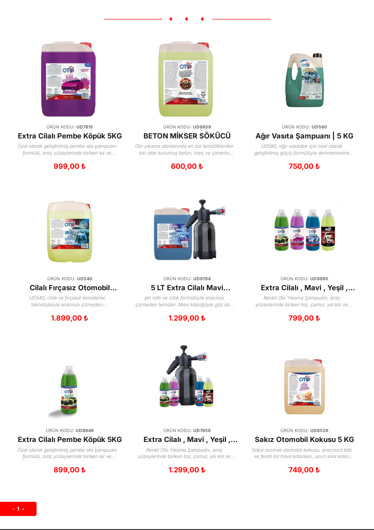 ECataloger -Katalog 9